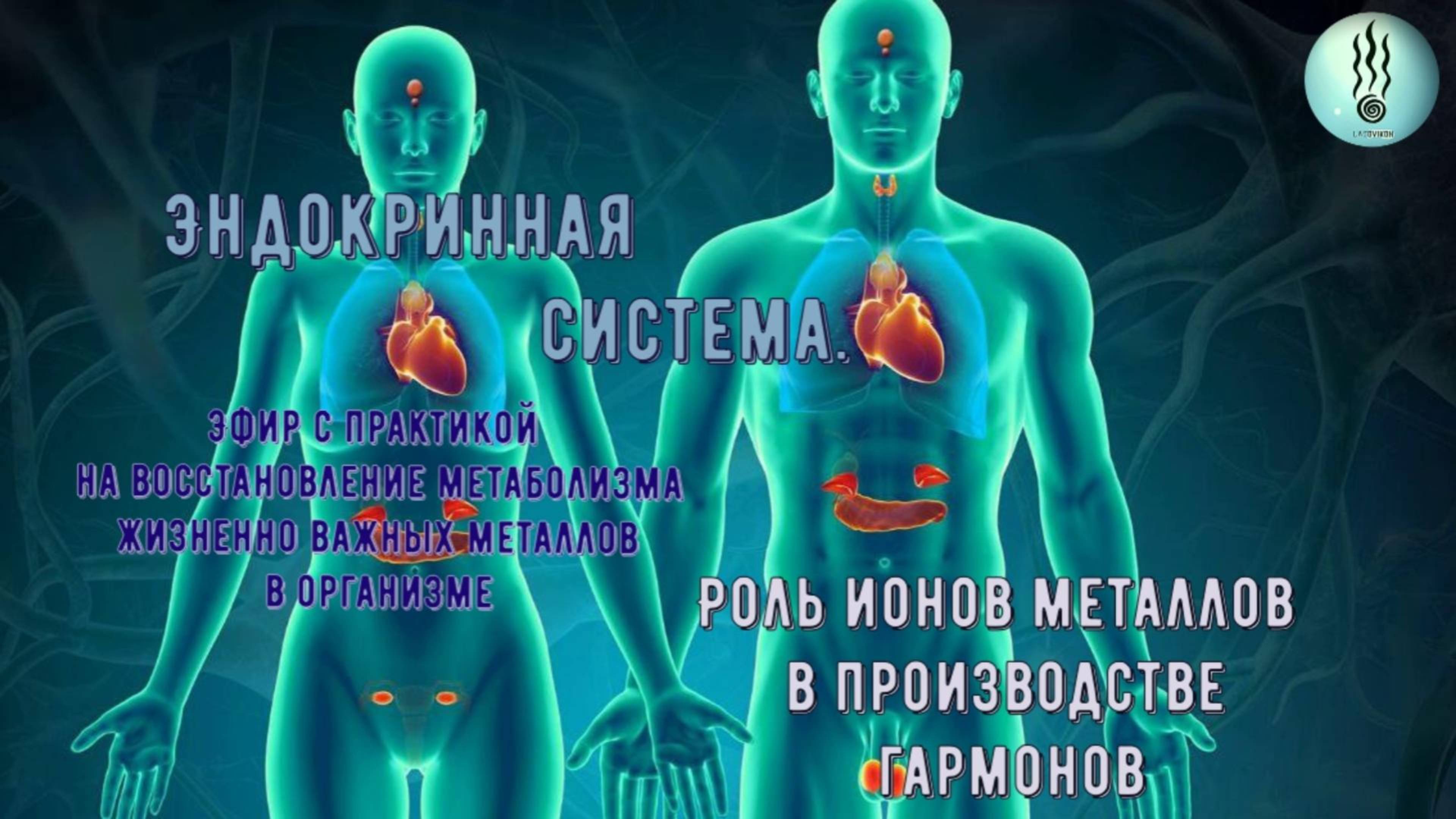 этапы энергетического обмена таблица: 2 тыс изображений найдено в Яндекс Картинк
