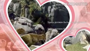 клип тарбозавр