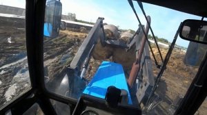 продолжаю дисковать суданку. не успели в том году доработать. наверстываем в этом году