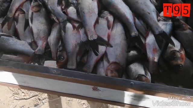 14.03.19 Турткул балик бозори смотреть онлайн