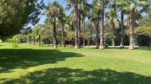 Sural Resort Hotel Side - Garden