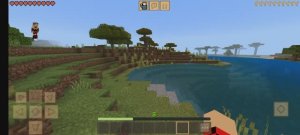 играю в майнкрафт, приручила попугая