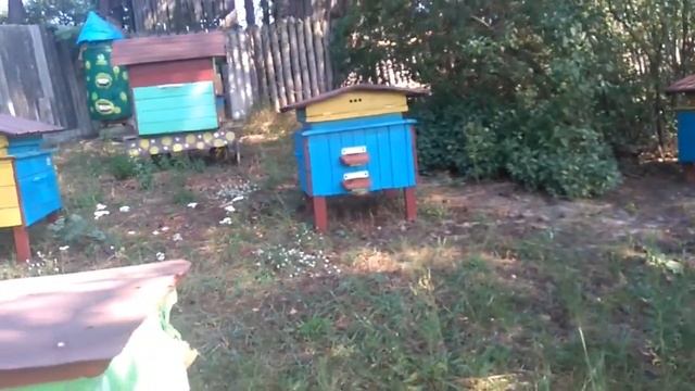 День пчеловода/пасека/борти/рыбалка/ЧАСТЬ-1. смотреть онлайн