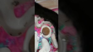 Муравьишки