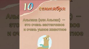 День Альпака