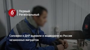 Силовики в ДНР выявили и выдворили из России незаконных мигрантов