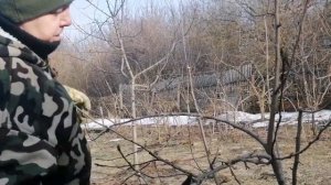 формировка и обрезка фруктовых деревьев