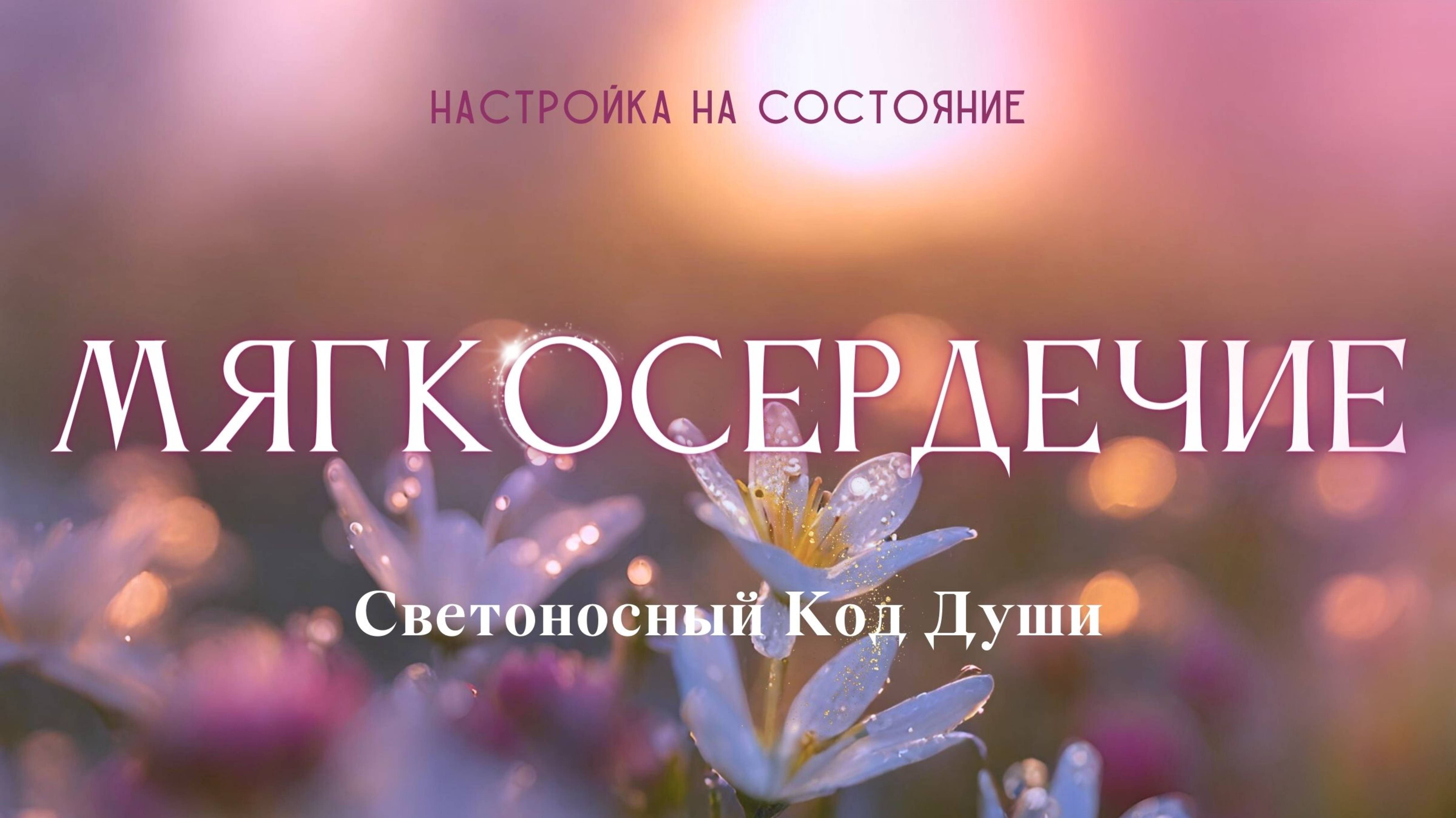 Мягкосердечие #настройка_на_состояние #светоносный_код_души