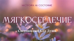 Мягкосердечие #настройка_на_состояние #светоносный_код_души