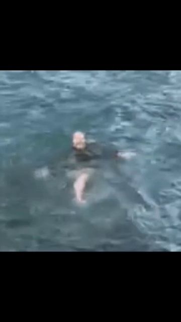 The MEG scary_megalodon#The Meg смотреть онлайн