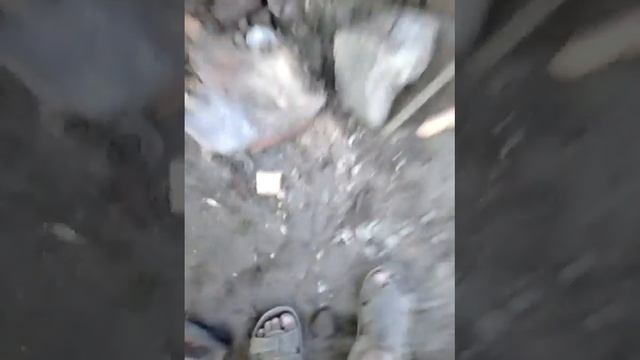 Лук смотреть онлайн