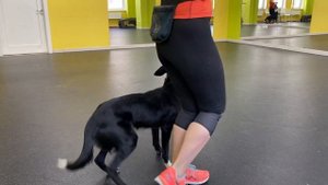 Бордер Колли Брина & Света Тимошина: Секреты дрессировки