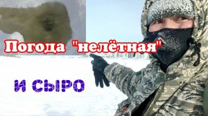 Погода "нелётная", и сыро