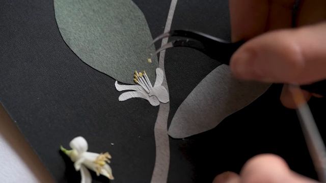 Приглашение на лекцию «Мэри Делани. Художница. Вышивальщица. Модница» смотреть онлайн