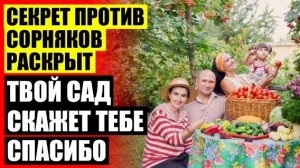 🤘 ХИМИКАТЫ ДЛЯ УНИЧТОЖЕНИЯ СОРНЯКОВ 🚫 СРЕДСТВО ОТ СОРНЯКОВ ДЛЯ КЛУБНИКИ 🤘