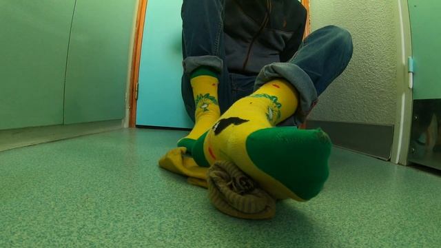 yellow and green toucan socks смотреть онлайн
