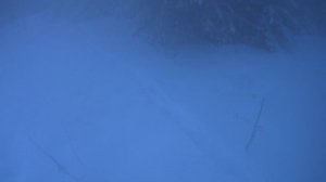 Последняя охота 24 года. Охота с русскими-пегими.