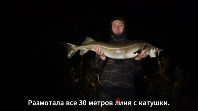 Подводная охота. Попалась стерлядь на 8 кг.