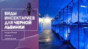 Технология разведения чёрной львинки (2 серия) "Виды инсектариев"