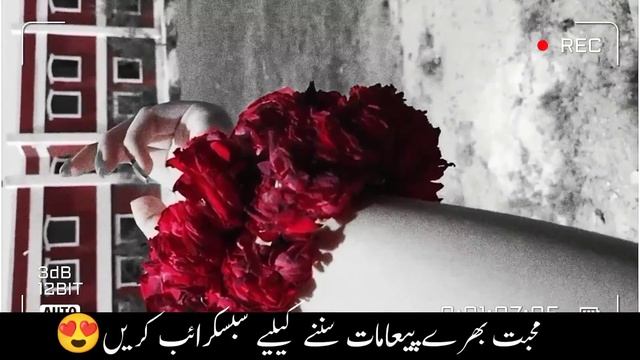 Secret relationship between a non-mahram man and a woman|Islamic reality|quotes video |Fact video смотреть онлайн