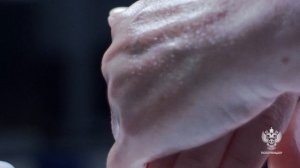 Санитайзер