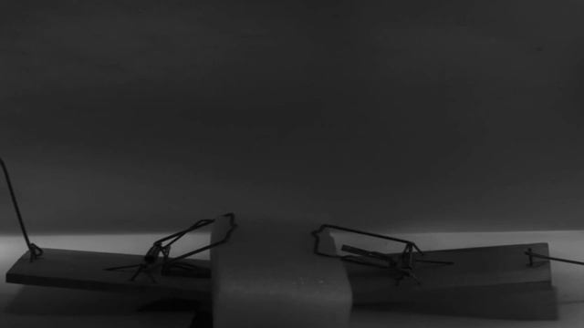 Mousetrap super slow motion compilation. High Speed video HD смотреть онлайн