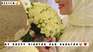 Хокх Эшарг Ца Кхоч Хумма😻🔥Цу Хазчу К1антах Хьаьгна