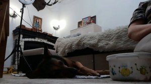 если еда возбуждает