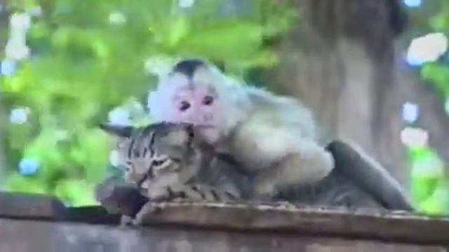 29 августа 2016 г. смотреть онлайн