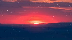 Sia - Snowman Lyrics