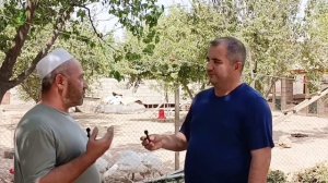 Мурғпарварӣ дар шароити хона н. Ёвон 3 намуд мурғ Индюк биг -6