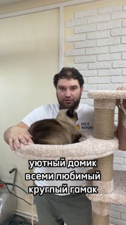 Комплекс для Кошек, Когтеточка Лев и Марсик