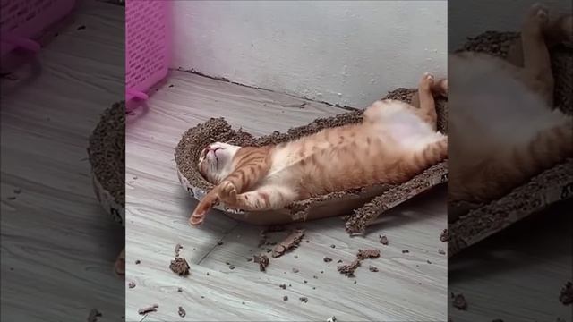 Кто-то в субботу