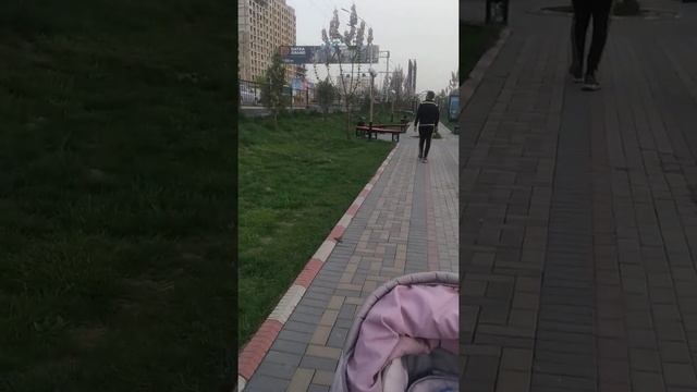 павлония дарагы смотреть онлайн