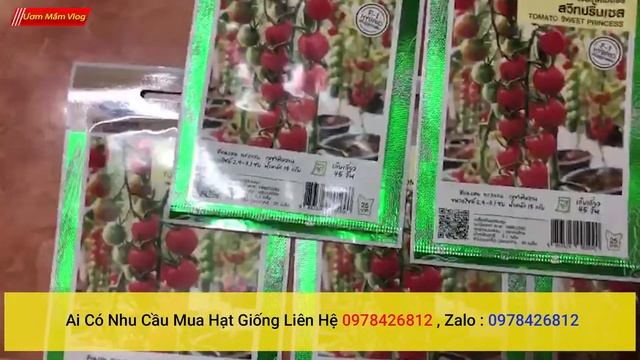 hạt giống cà chua chuỗi ngọc dòng f1 nhập khẩu chính hãng thái lan nguyên bao bì, cách trồng cà chu смотреть онлайн