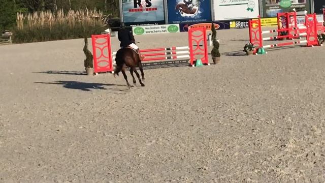 Louise en Calisto te Euregio Lier 95cm смотреть онлайн