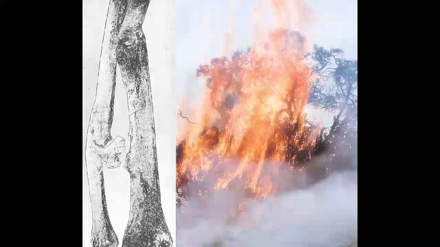 Elysia Crampton - Coreoplastic American [Mix] (2016) смотреть онлайн