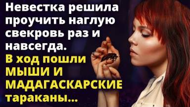 Невестка решила проучить наглую свекровь. В ход пошли МАДАГАСКАРСКИЕ тараканы Истории любви до слез