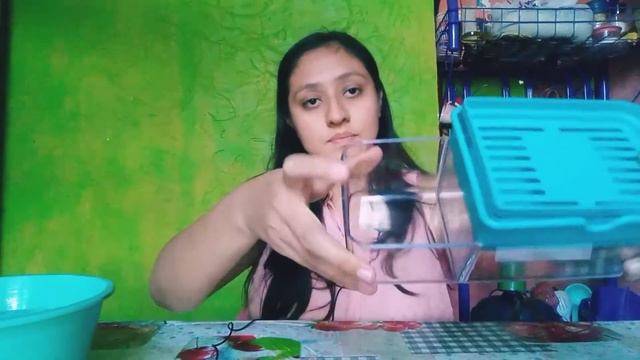 probando productos de betterware смотреть онлайн