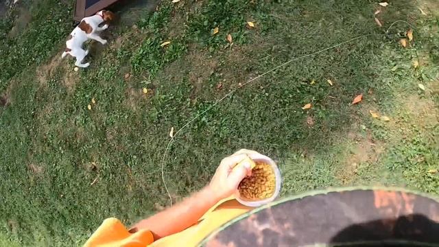 Olive 13 смотреть онлайн