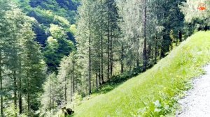 Швейцария - Захватывающая дух природа и флюиды | Аппенцелль-Иннерроден