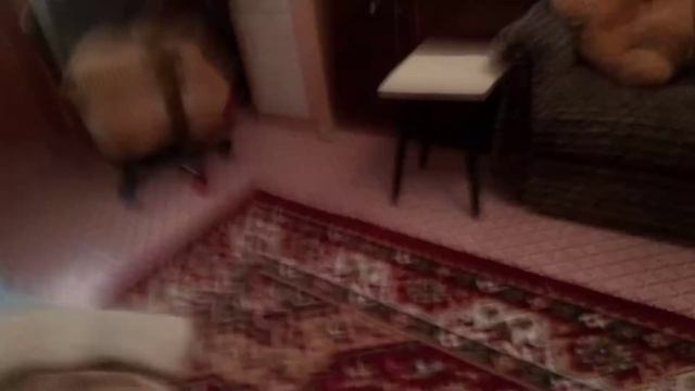 Выпал Спайк!!! смотреть онлайн