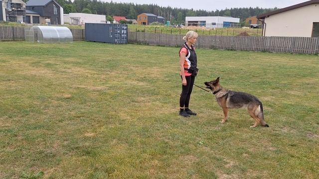 3С4М Сохранение позиции на стягивание. Стоять. смотреть онлайн