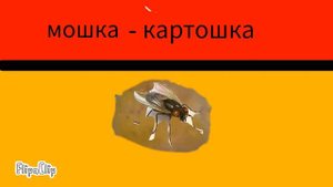 мошка - картошка (мой мем)