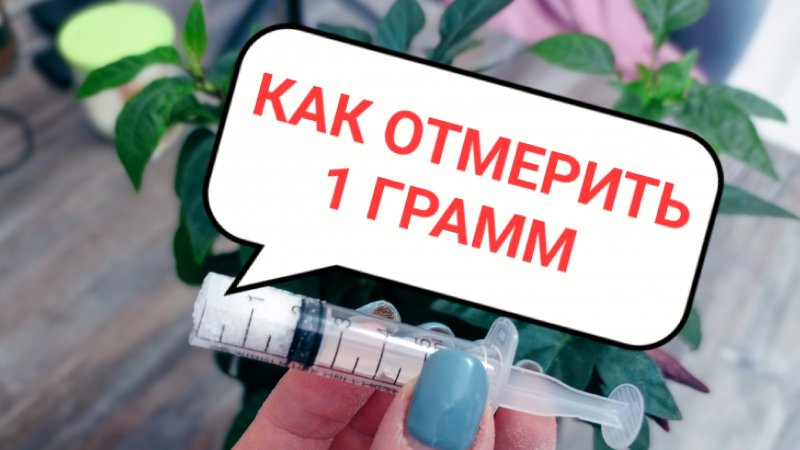 Зачем разрезаю шприц. Рассада для начинающих