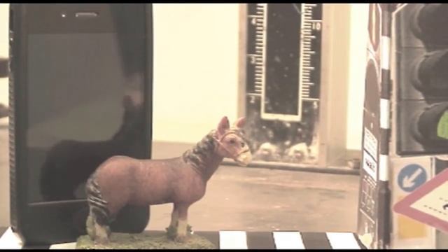 3/3 Fleeting Friendships series: The cowboy and the Pelican смотреть онлайн