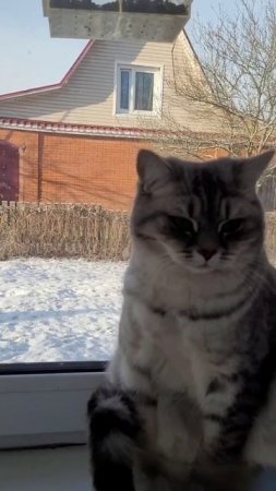 Охота на птичку