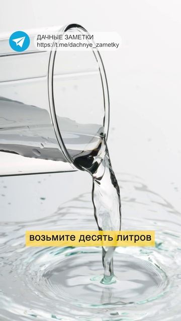 СМОРОДИНА ТЕПЕРЬ РАЗМЕРОМ С ВИШНЮ! #смородина #дача #огород #рассада #дачныезаметки #shorts смотреть онлайн