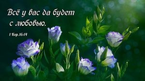 Давайте лучше о любви! | стихи христианские