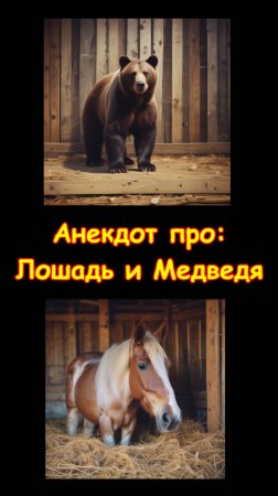 Анекдоты. Лошадь и медведь. Кино. Фильм. Сказка. Скетч. Юмор. Шутки. Приколы. #морковкинтв #shorts